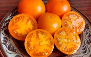 Вкусный и красивый гибрид — сорт томатов «Хурма» — описание, выращивание, общие рекомендации