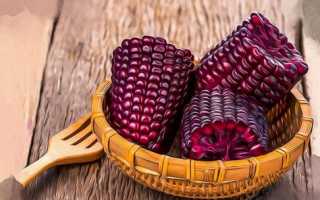 Чем полезны фиолетовые продукты для организма человека