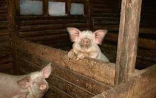 Как утеплить дверь в сарае. Как утеплить курятник, сарай, хлев дешево. Строительство и утепление – действуем снаружи сарая