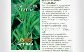 Бобы русские черные: особенности сорта и правила выращивания