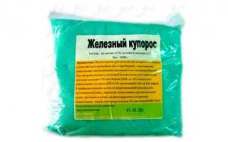 Как правильно опрыскивать виноград железным купоросом