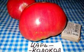 Томат Царь Колокол — описание сорта, фото, урожайность и отзывы садоводов