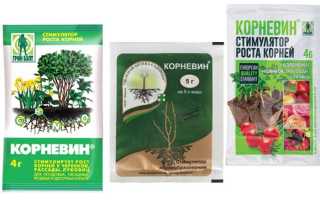 Инструкция по применению стимулятора корнеобразования Корневин, отзывы