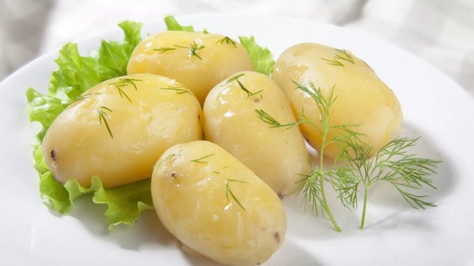 Чем полезны овощи для организма
