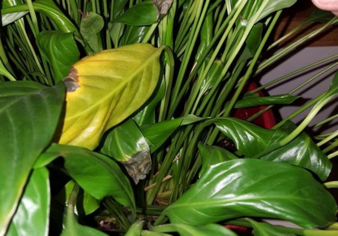 Фото 2