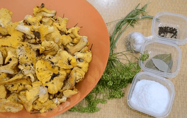 Грибы лисички на зиму – рецепты приготовления