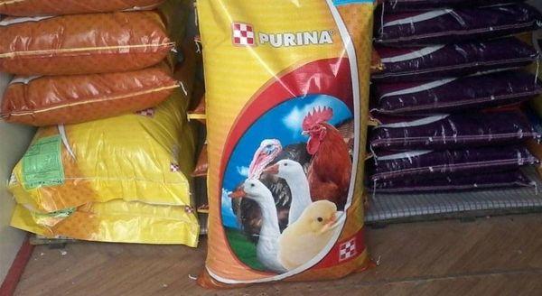 Корм Purina