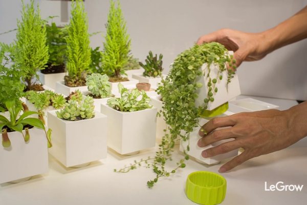 Le Grow умные горшки
