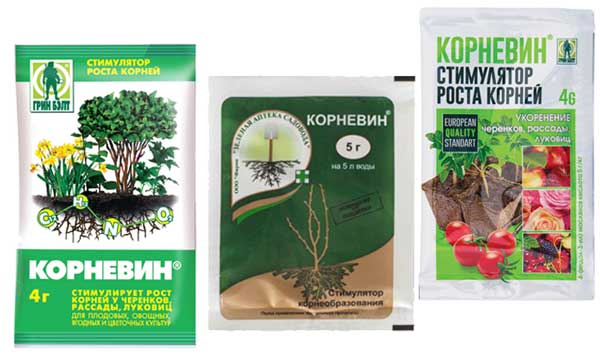 препарат корневин